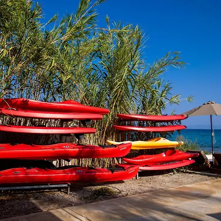 Nusa & פפקוהורי